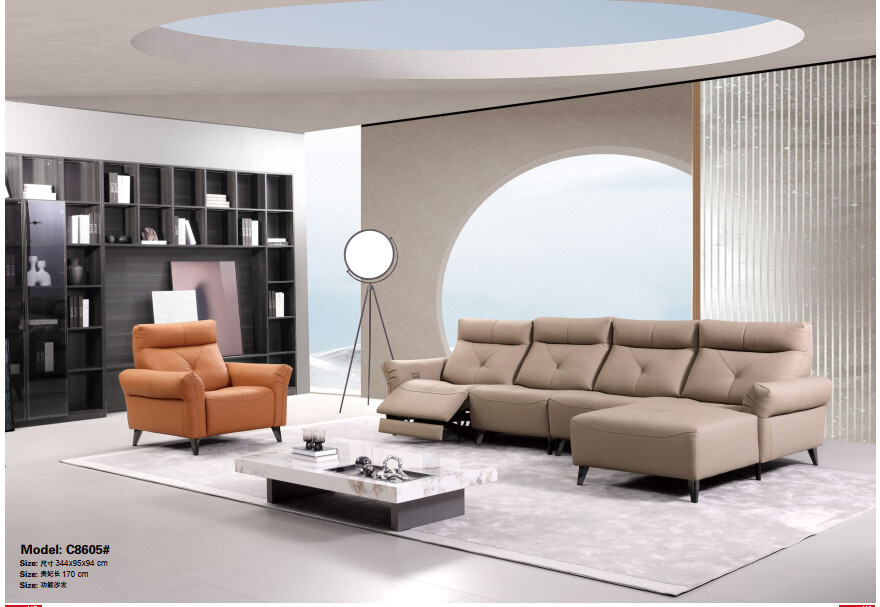 Sofa nhập khẩu ZT252