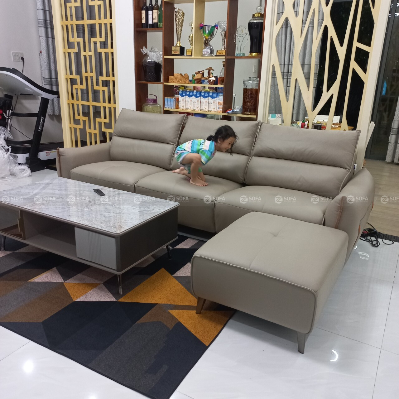 Sofa nhập khẩu thư giãn ZT230