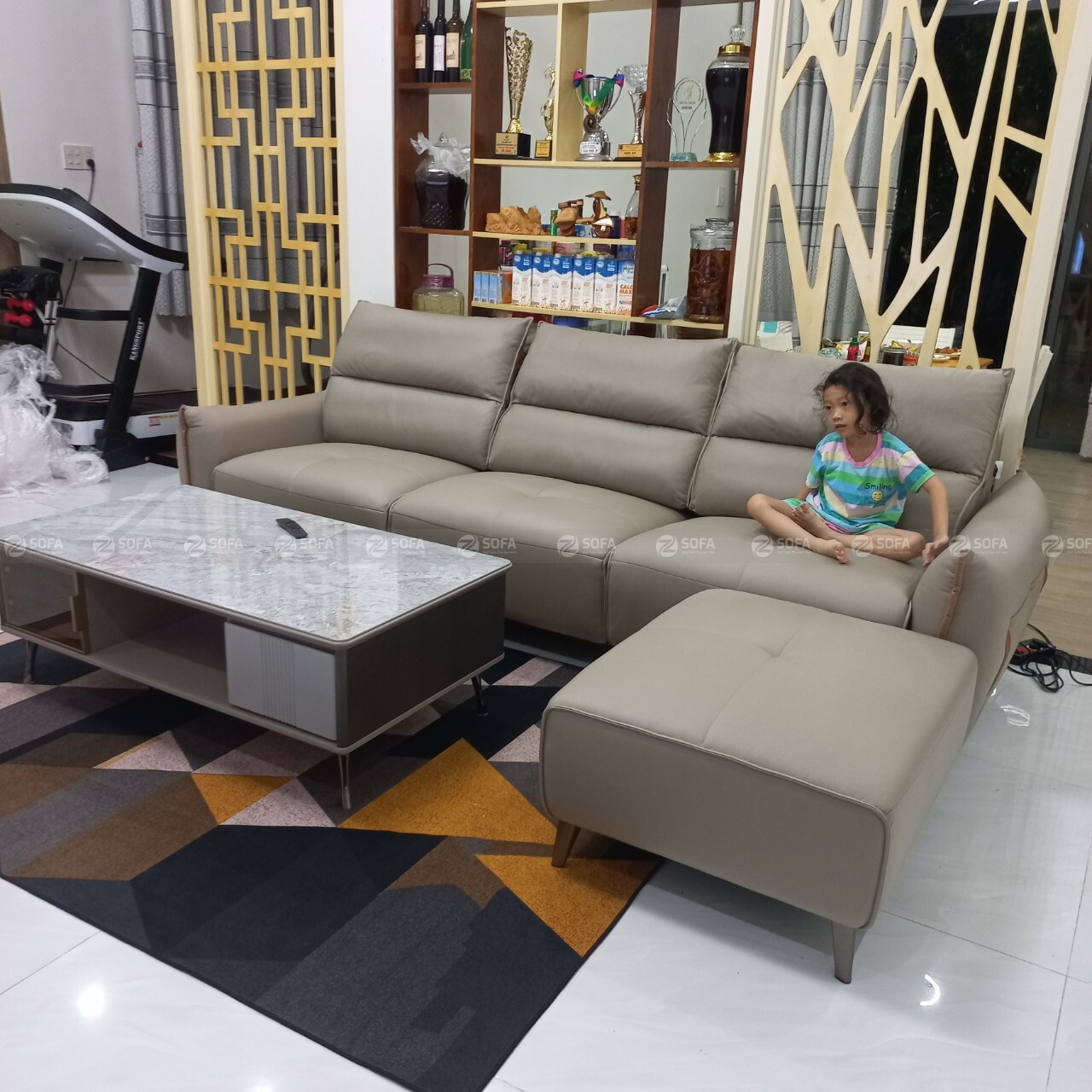 Sofa nhập khẩu thư giãn ZT230